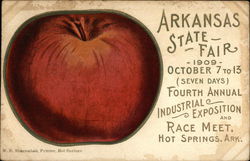 Arkansas State Fair, 1909 Hot Springs, AR Exposition Postcard Postcard Postcard