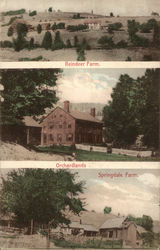 Reindeer Farm, Orchardlands, Springdale Farm Woodstock, VT Postcard Postcard Postcard