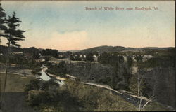 Branch of White River Postcard