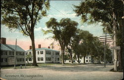 Lexington Elms Postcard