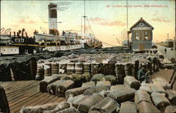 Cotton on the Levee New Orleans, LA Postcard Postcard Postcard