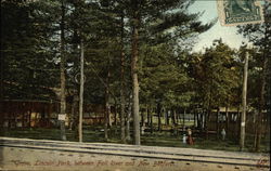 Grove, Lincoln Park, between Fall River and New Bedford North Dartmouth, MA Postcard Postcard Postcard