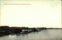 Sacramento River Scene Postcard