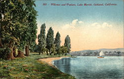 Willows and Poplars, Lake Merritt Oakland, CA Postcard Postcard Postcard