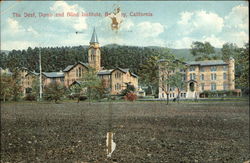 The Deaf, Dumb and Blind Institute The Deaf, Dumb and Blind Institute
