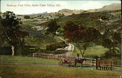 Saratoga Foot Hills, Santa Clara Valley Postcard