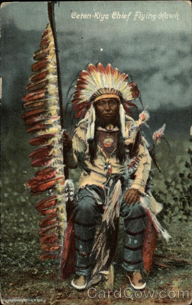 Ceten-Kiya Chief Flying Hawk Native Americana