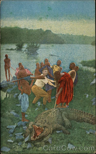 Men and Natives Killing Crocodile Alligators