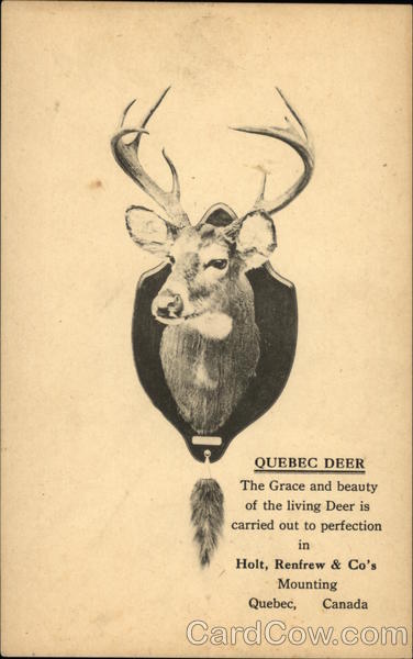 Head of a Quebec Deer mounted on a plaque Advertising