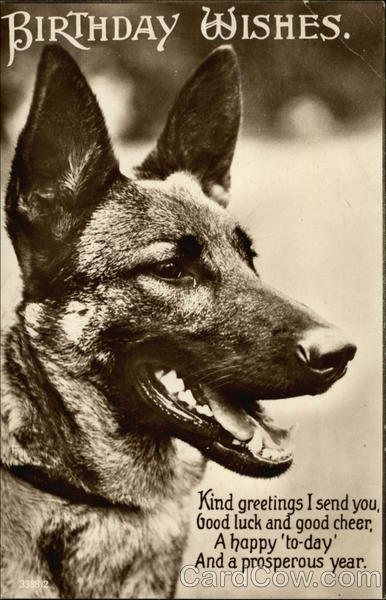 Birthday Wishes - With Black & White Photograph of German Shepard