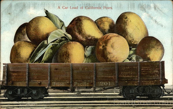 A Car Load of Giant Californian Pears Exaggeration