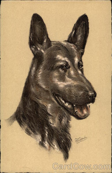 Portrait of a Dog Dogs