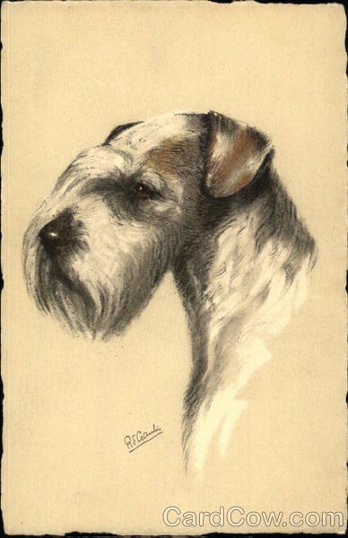 head of a terrier Dogs