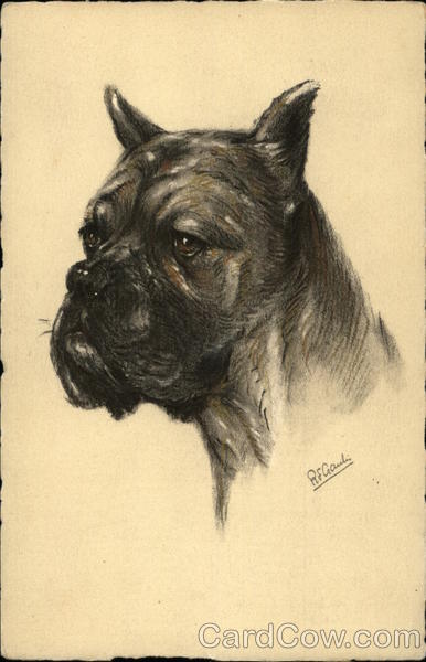 A Dog Portrait Facing Left Dogs