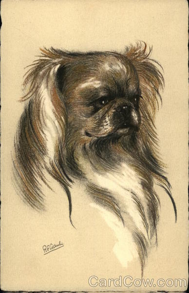 Illustration of Pekingese Dogs