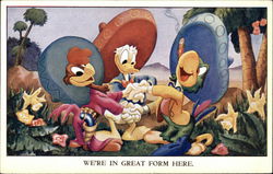 Walt Disney Three Amigos - Donald Duck Postcard