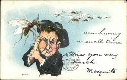 Man Being Bit by Giant Mosquitoes Postcard