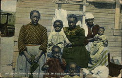 No Such Thing as Race Suicide in the Sunny South Postcard