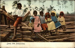 Seven African American Children Black Americana Postcard Postcard Postcard