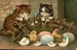 Two Kittens and Easter Chicks Hatching Postcard