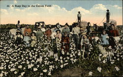 A Busy Day In The Cotton Field Black Americana Postcard Postcard Postcard