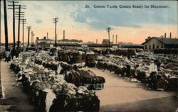 26. Cotton Yards, Cotton Ready for Shipment. Postcard