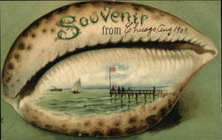 Shell Souvenir From Chicago, August 1909 Postcard