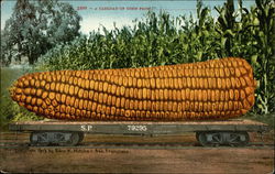Exaggerated Car Load of Corn in 1899 Postcard