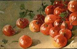 Red Cherries C. Klein Postcard Postcard Postcard