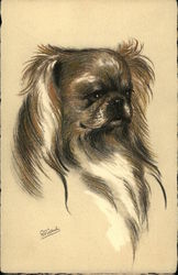 Illustration of Pekingese Postcard
