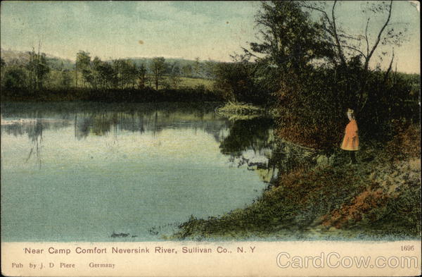Near Camp Comfort, Neversink River Sullivan New York