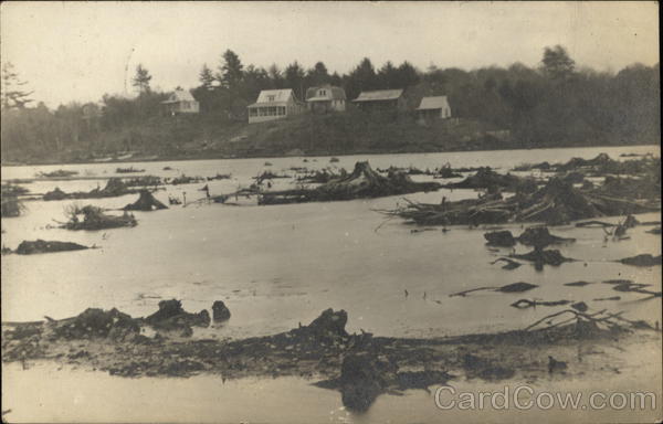 Pond Scene Foxboro Massachusetts