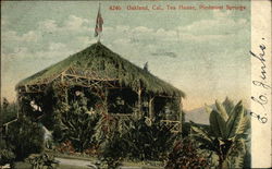 Tea House, Piedmont Springs Tea House, Piedmont Springs