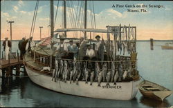 Fish Catch, Stranger Boat Postcard