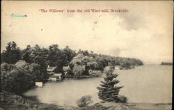 The Willows from the old Windmill Postcard