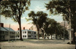 Lexington Elms Postcard