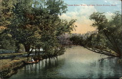 Grand River, West of Island Eaton Rapids, MI Postcard Postcard Postcard