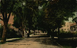 Hopedale Street Massachusetts Postcard