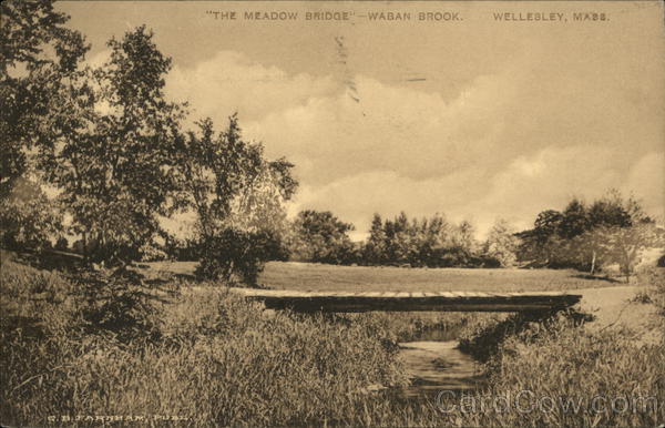 The Meadow Bridge at Waban Brook Wellesley Massachusetts