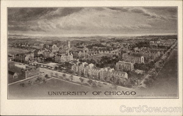 University of Chicago Illinois