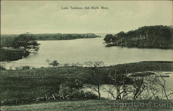 Scenic View of Lake Tashmoo Oak Bluffs Massachusetts