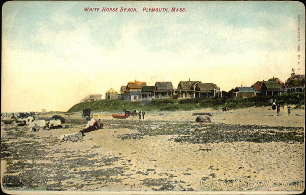 White Horse Beach, With Houses And Beach Goers Plymouth Massachusetts