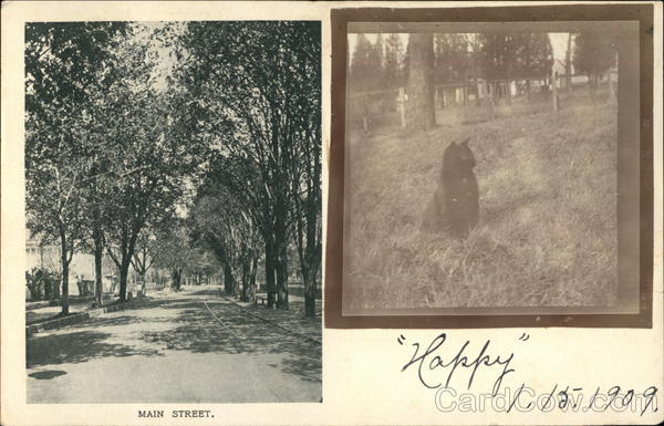 Main Street Franklin Massachusetts