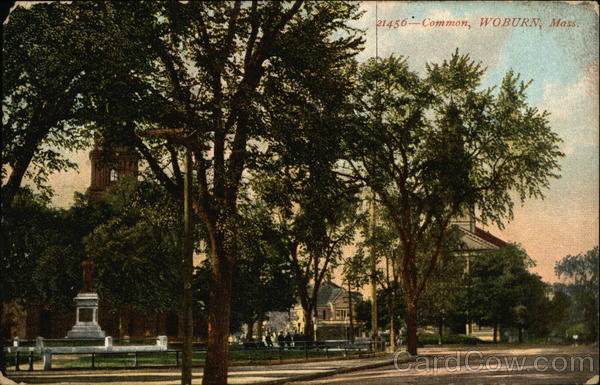 Common Woburn Massachusetts