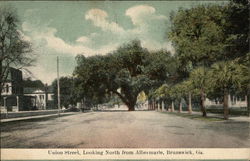 Union Street, looking North from Albermarle Postcard