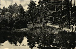 View at Pine Barks Park Malden, MA Postcard Postcard Postcard
