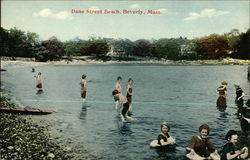 Dane Street Beach Dane Street Beach