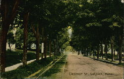 Chestnut St. Gardner, MA Postcard Postcard Postcard