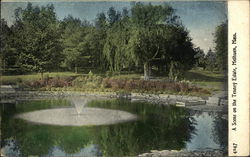 A Scene on the Tenney Estate Postcard