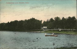 Scenic View of Massapoag Lake Postcard